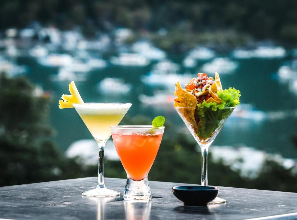 هتل فانی لیون انی